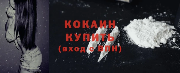 тгк Новокубанск
