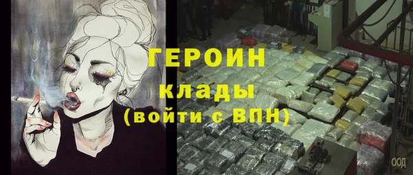 ПСИЛОЦИБИНОВЫЕ ГРИБЫ Новозыбков