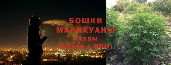 крисы Тавда