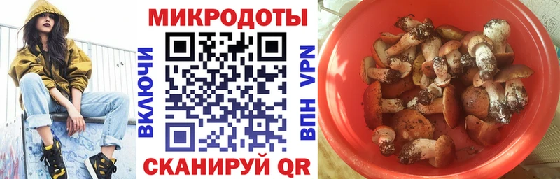 площадка наркотические препараты  Лермонтов  Галлюциногенные грибы GOLDEN TEACHER 