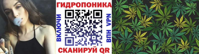 Шишки марихуана семена  Лермонтов 